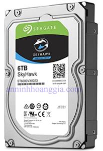 Ổ cứng HDD Segate skyhawk 6TB